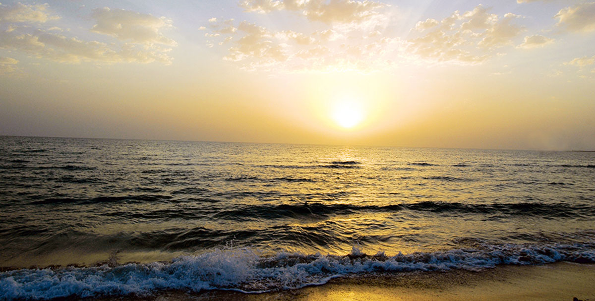 Tebigy gözellikleriň mesgeni