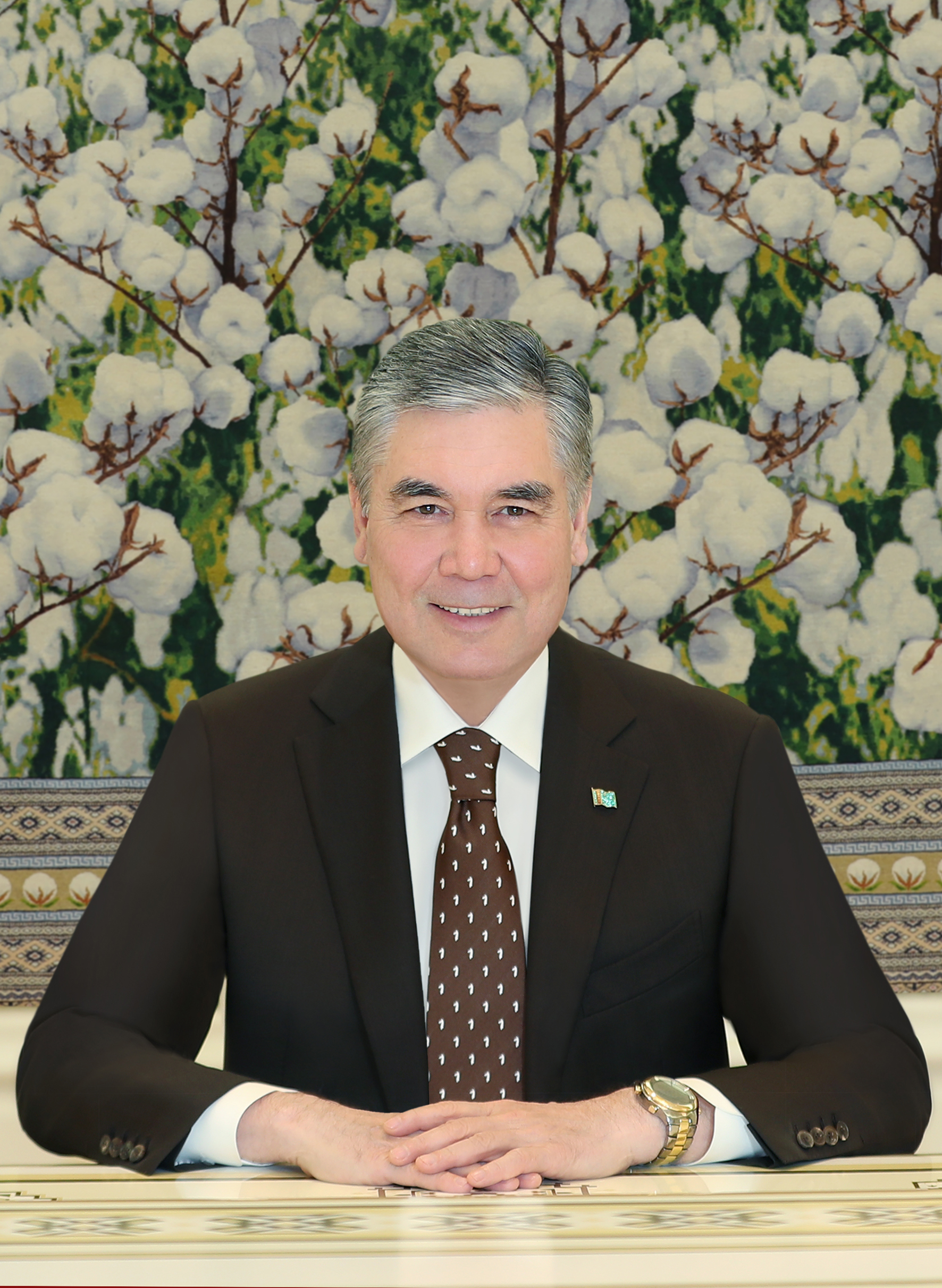 President Gurbanguly Berdimuhamedov received the UNDP Resident Representative in Turkmenistan