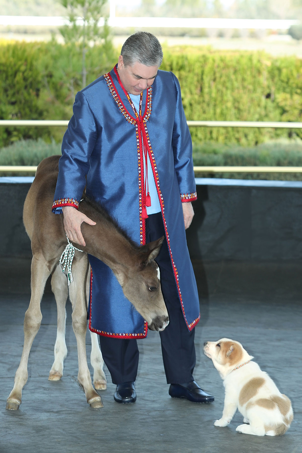 The leader of the nation visited the Akhal-Teke equestrian sports complex of the President of Turkmenistan