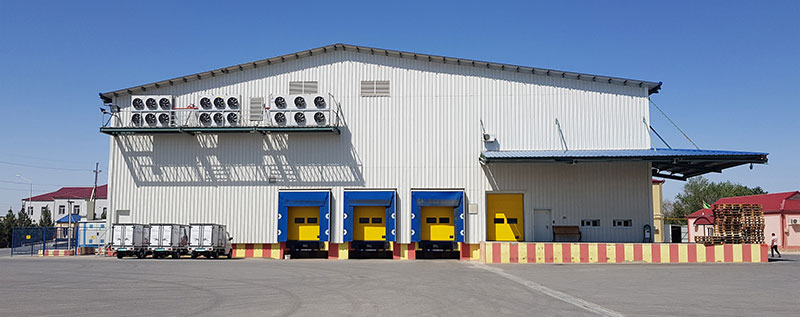 Orchard in Uchdepe valley