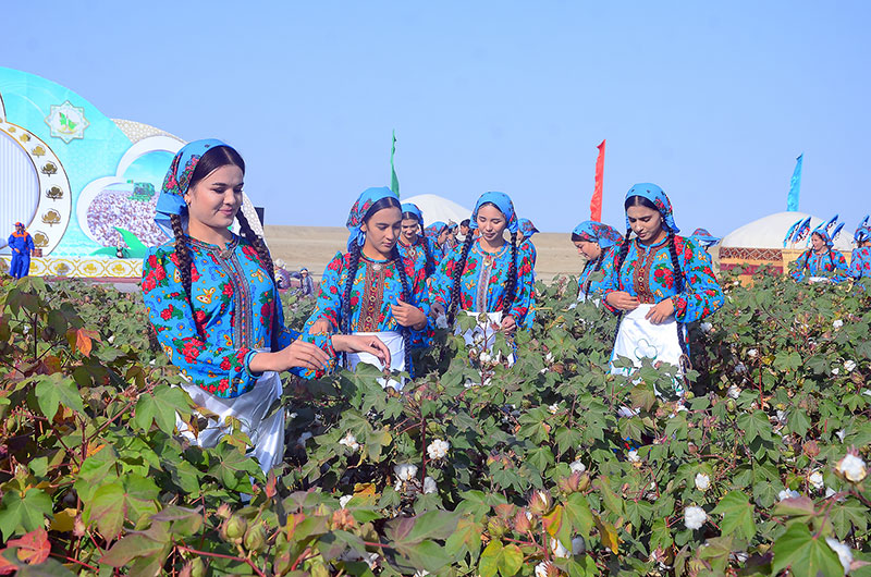Türkmenistanda “ak altyn” kerwenine badalga berildi