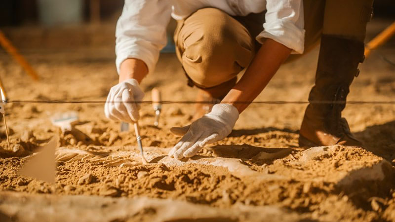 Archaeological excavations are underway