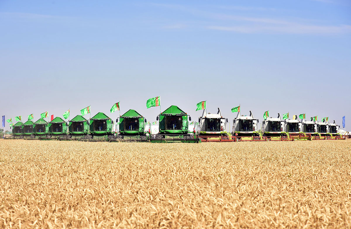 Wheat harvest got a start in Turkmenistan