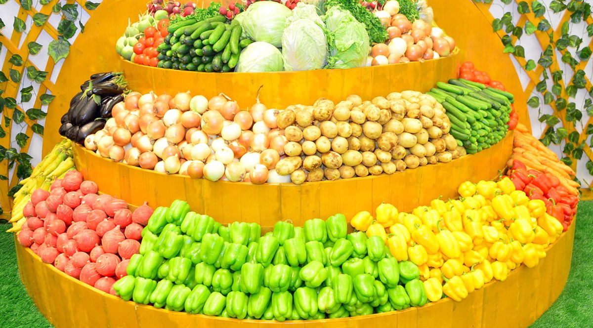 A rich harvest of fruit and vegetable crops has been harvested in Dashoguz velayat