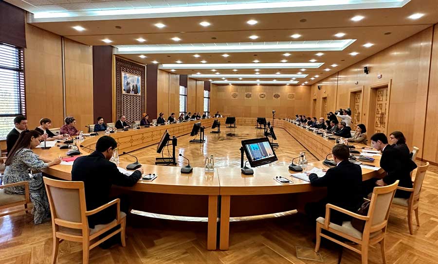 Joint meeting of the round table of the National Working Group on the implementation of the sustainable development goals in Turkmenistan