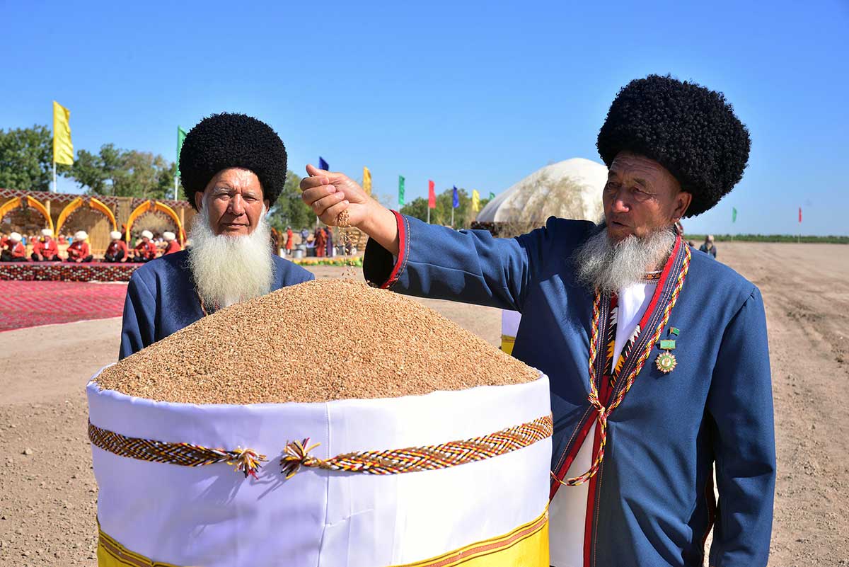 Sowing of Winter Wheat Started in Turkmenistan