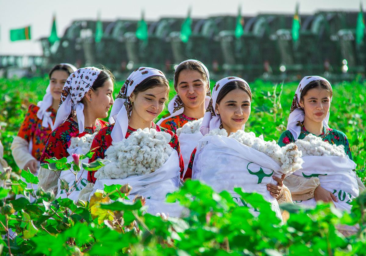 Cotton Harvesting has Started in Turkmenistan