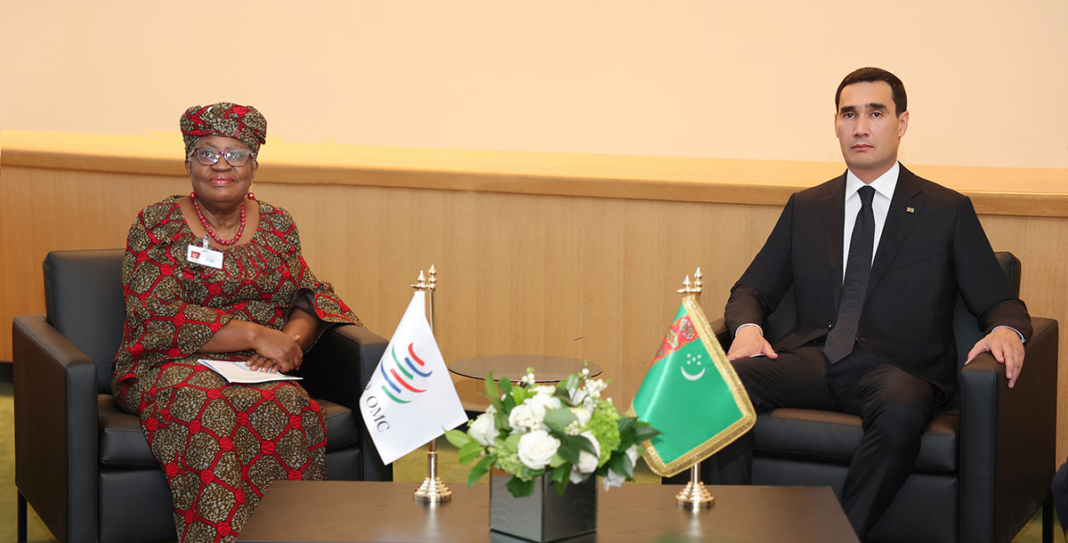 Встреча Президента Туркменистана с Генеральным директором Всемирной торговой организации