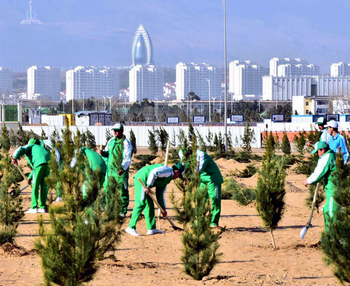 Autumn landscaping campaign will be held in Turkmenistan