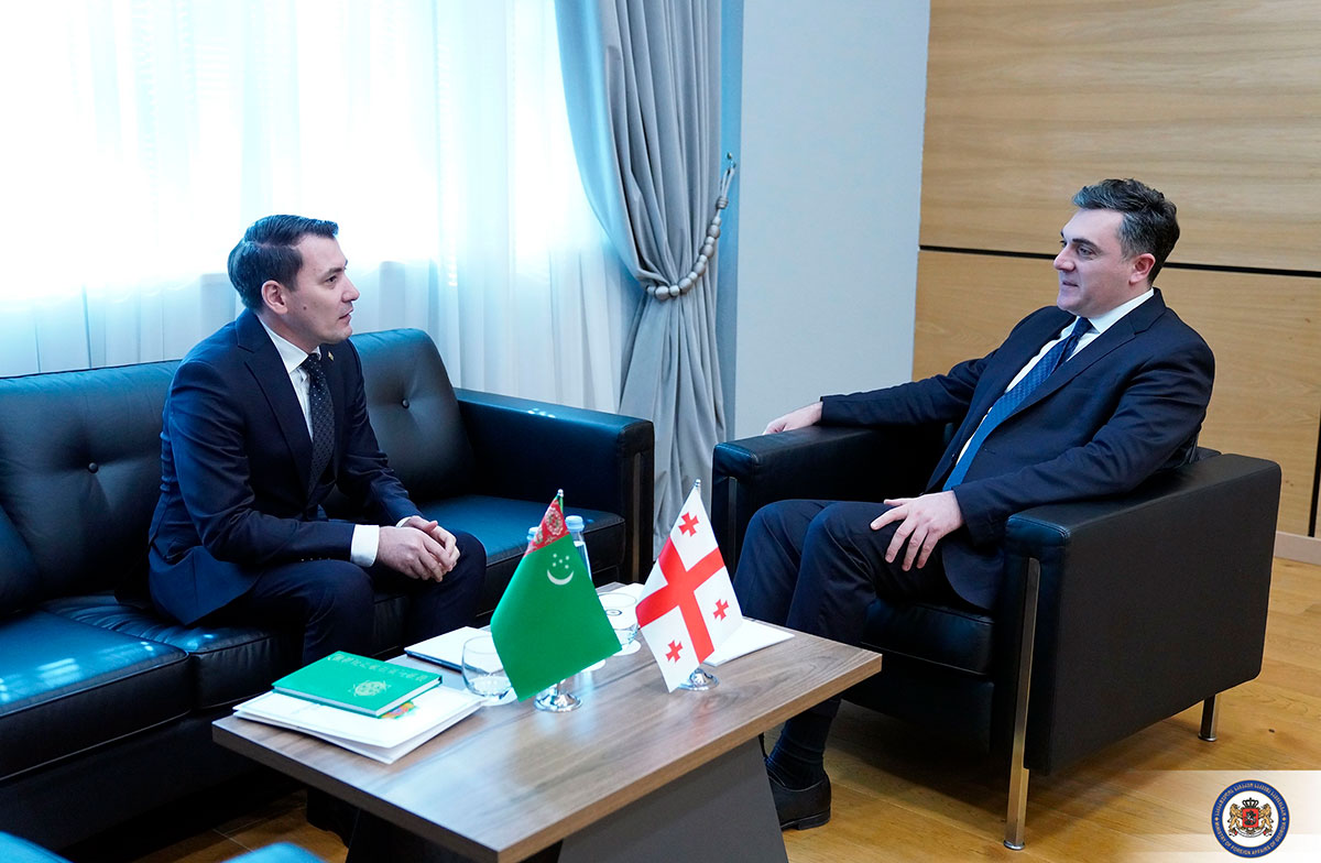 Meeting of Ambassador of Turkmenistan in Georgia with Minister of Foreign Affairs of Georgia