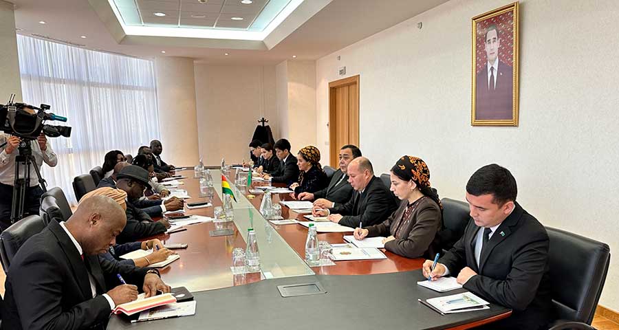 Turkmenistan and Ghana discussed expanding cooperation in various fields