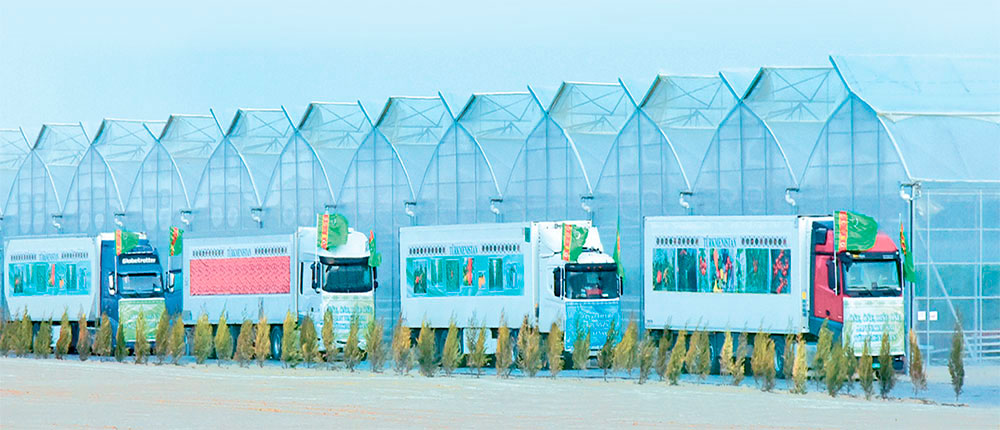 The number of greenhouses for growing vegetables all year round is growing in Turkmenistan