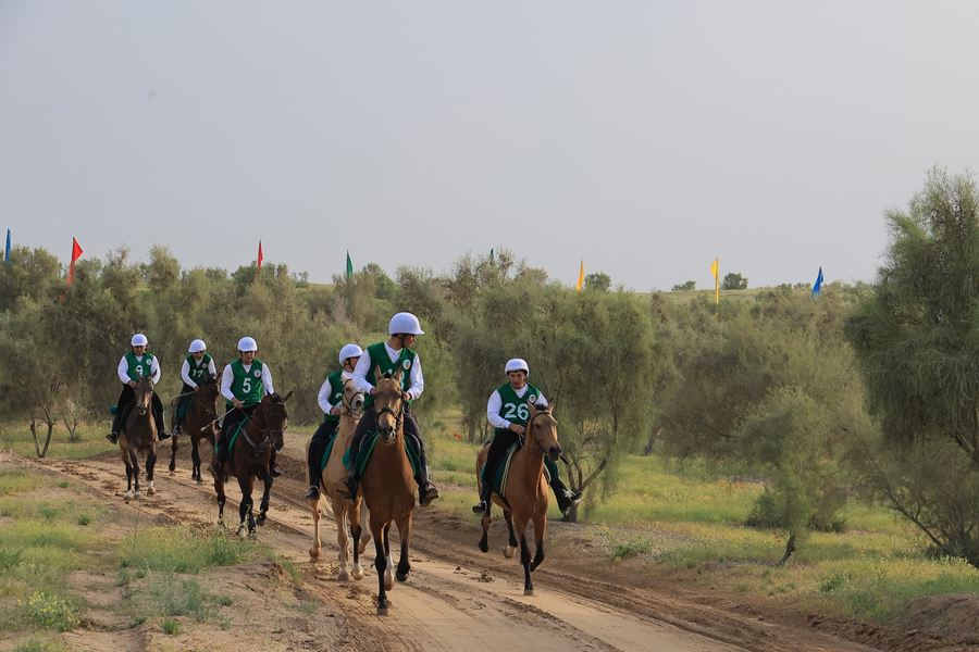 Зрелищный конный марафон прошёл в живописных предгорьях Копетдага