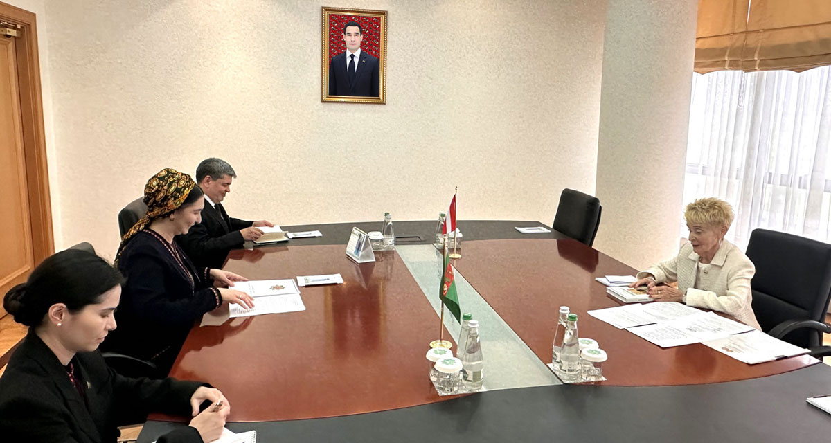 В МИД Туркменистана состоялась встреча с главой Туркмено-Австрийского общества
