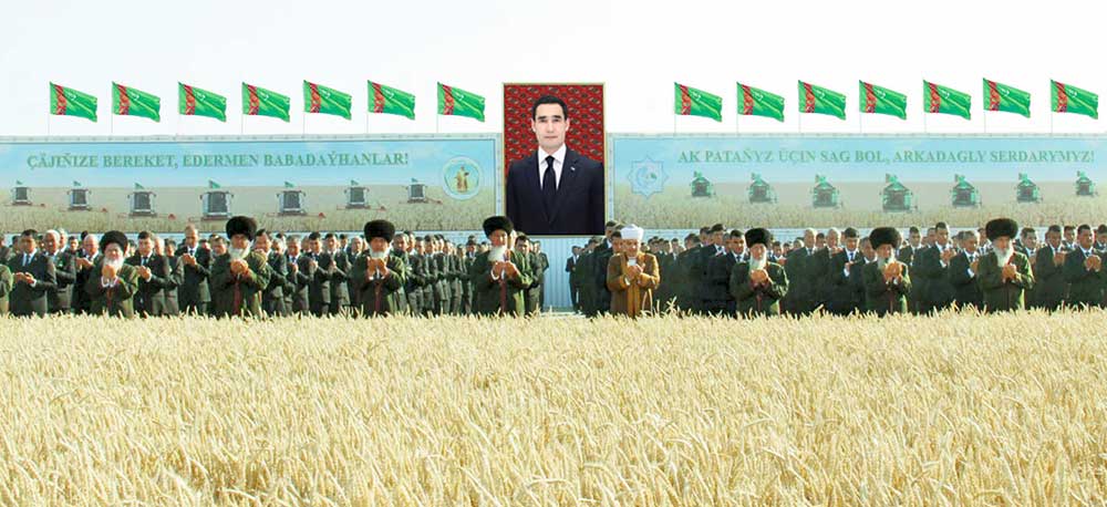 Farmers of Dashoguz and Balkan velayats started grain harvesting campaign