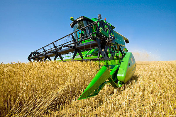 Wheat harvesting is in full swing in the Balkan velayat
