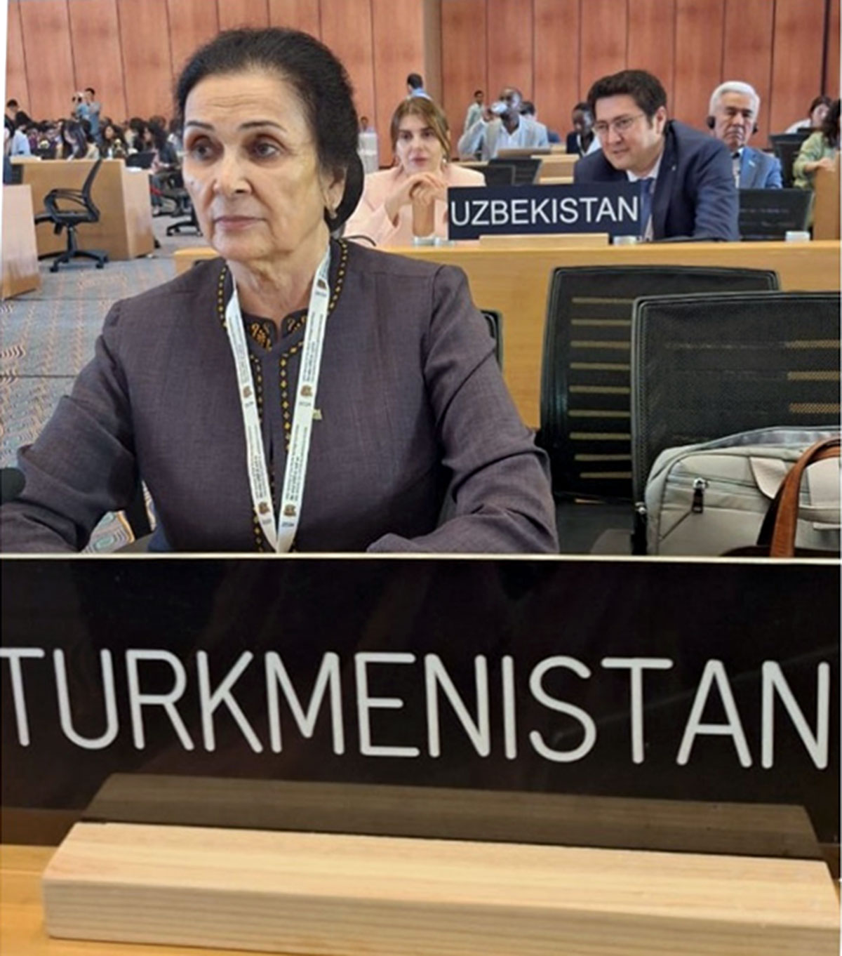 The delegation of Turkmenistan participates in the 46th meeting of the UNESCO World Heritage Committee