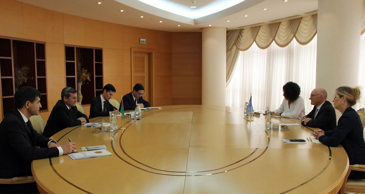 Meeting with the Executive Secretary of the Comprehensive Nuclear-Test-Ban Treaty Organization was held