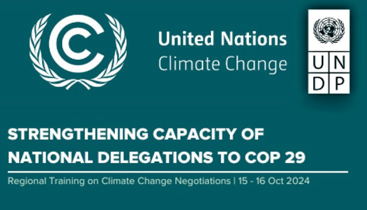 In Türkiye, climatologists are preparing a "portfolio" of proposals for COP-29