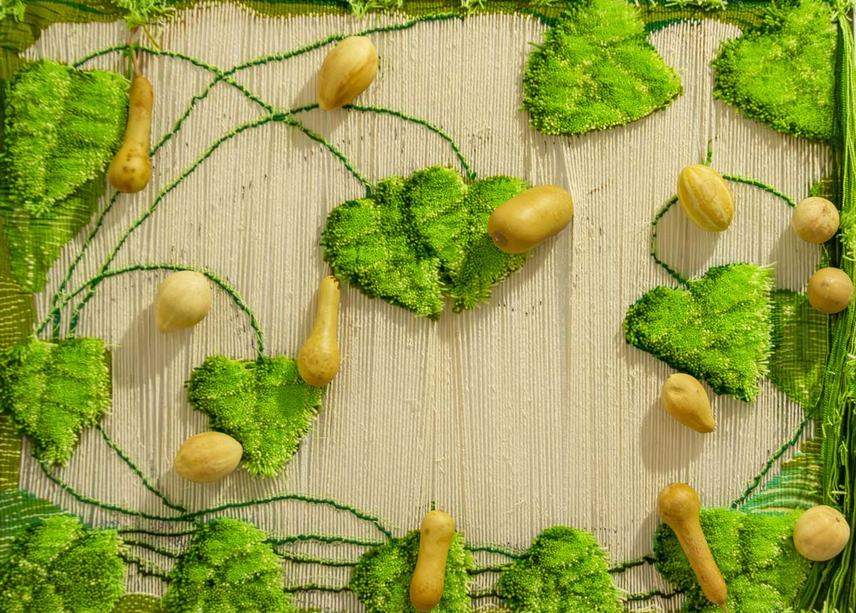 Zenan suratkeşleriň işleriniň sergisi açyldy