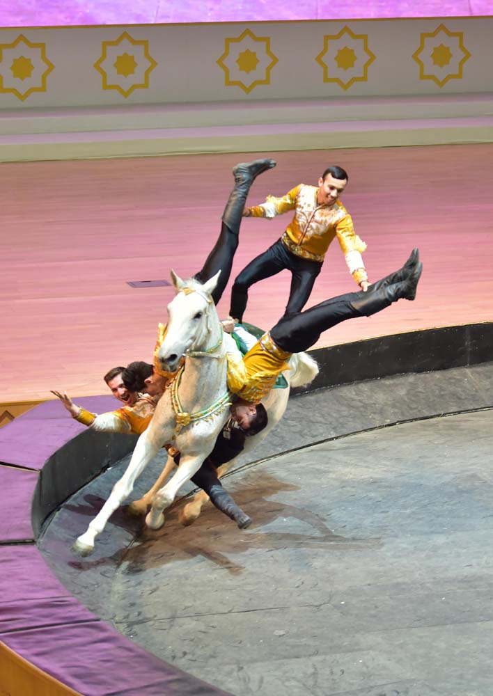 «Galkynyşyň» ganatly bedewleri we döwlet sirki Lebap topragynda