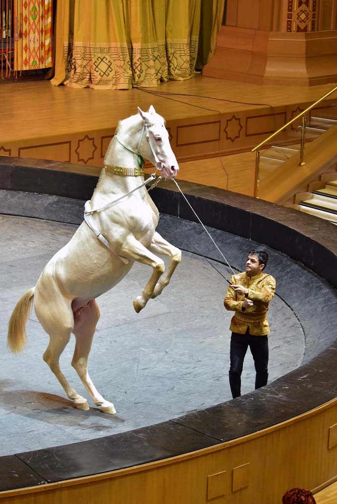 «Galkynyşyň» ganatly bedewleri we döwlet sirki Lebap topragynda