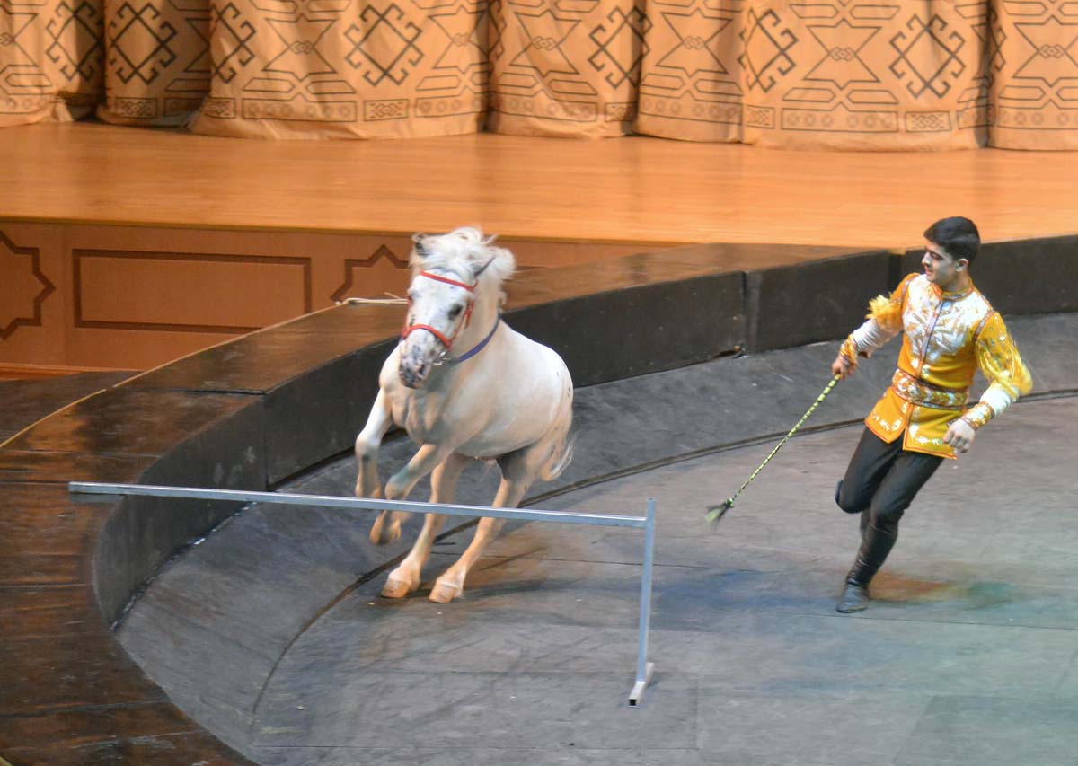 «Galkynyşyň» ganatly bedewleri we döwlet sirki Lebap topragynda