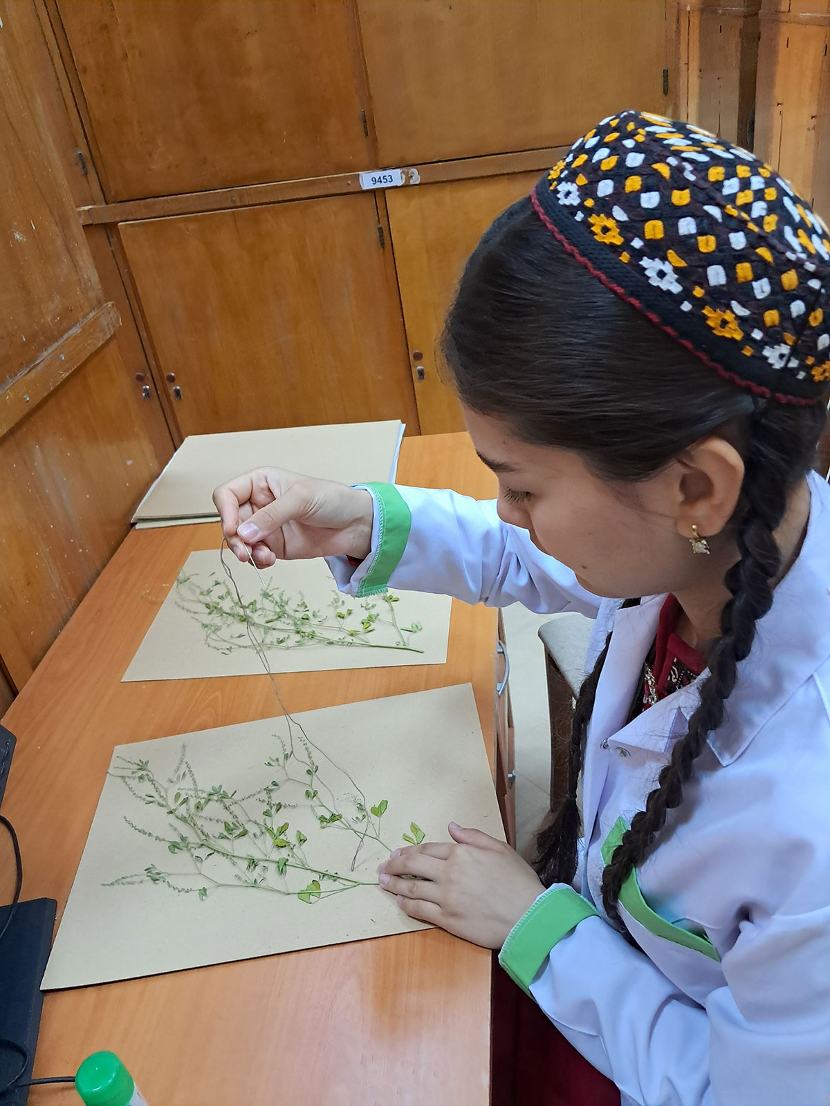The National Herbarium Fund of Turkmenistan is being replenished