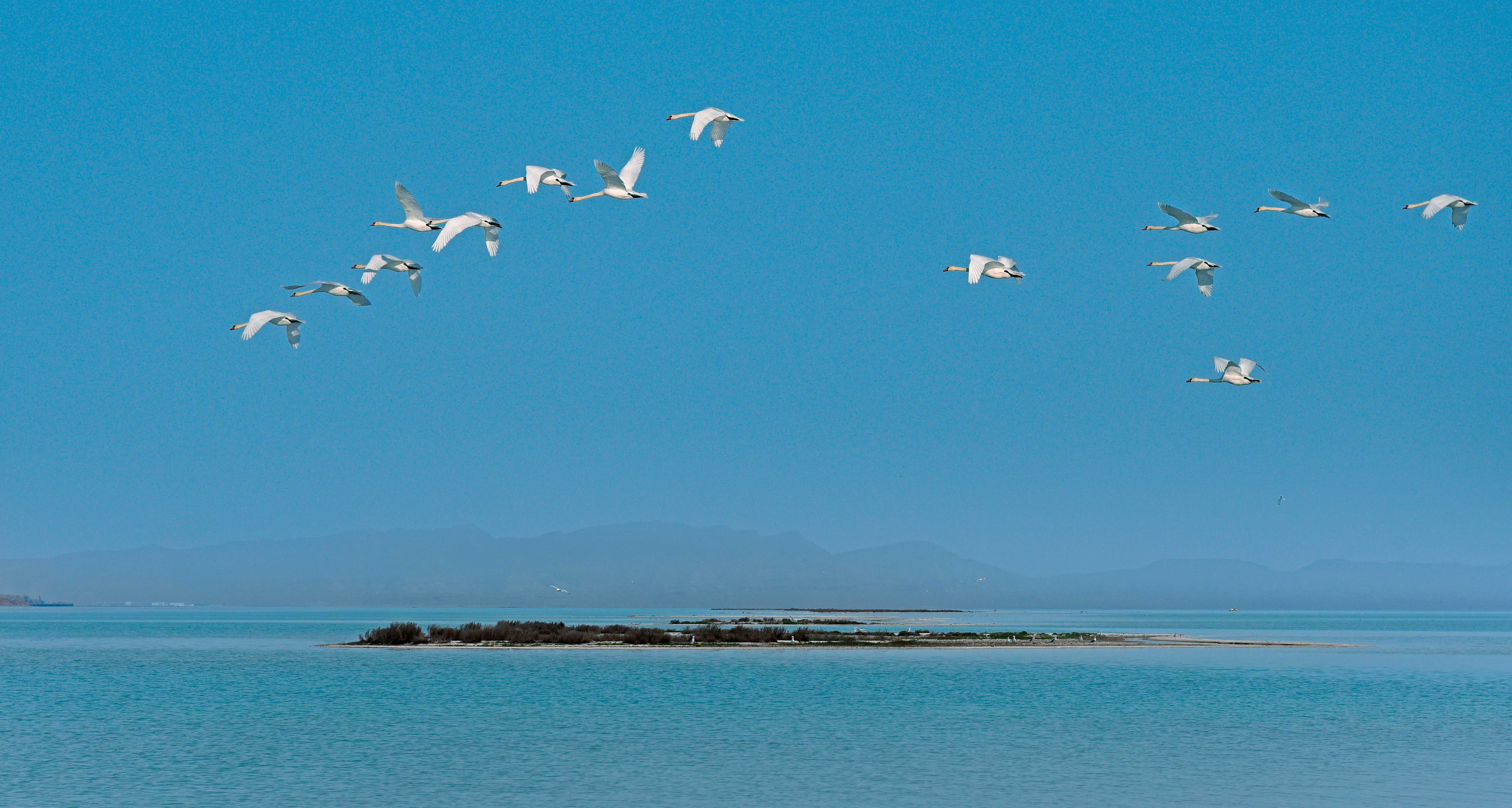 Hazar deňziniň ekologiýa medeniýeti