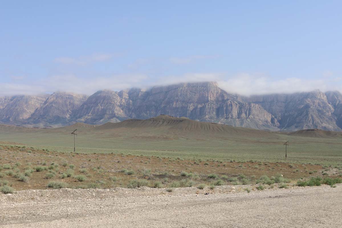 Учёные Института пустынь провели инвентаризацию пастбищной растительности Прикаспия