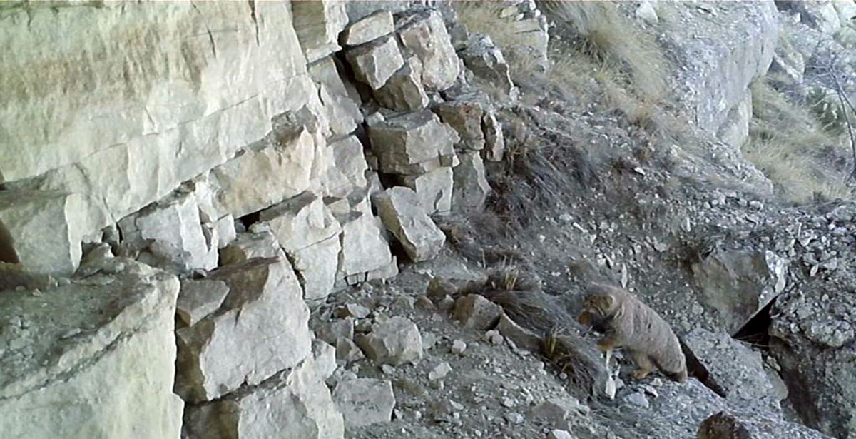 Горы Большой и Малый Балханы станут заповедными