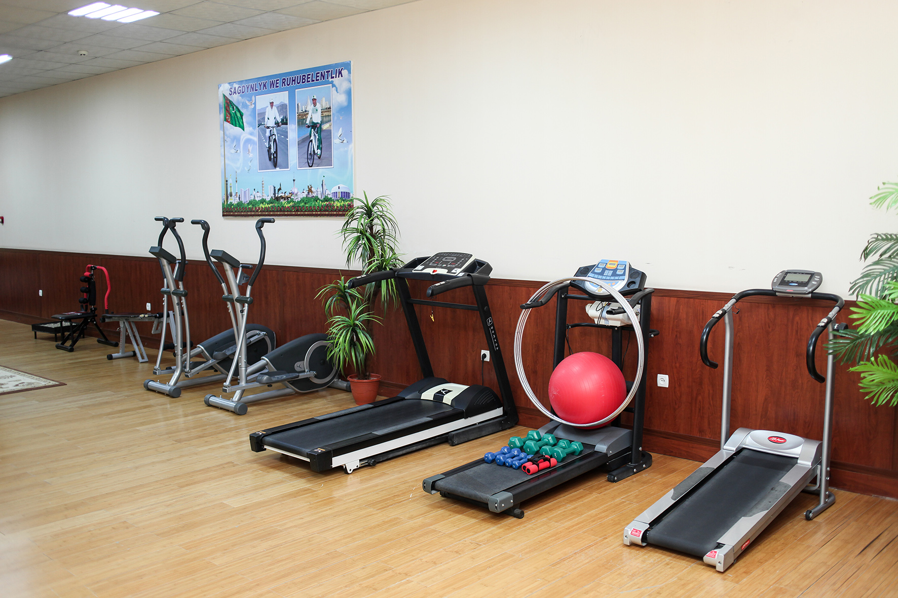 «Небитчи» – современная здравница с высоким уровнем сервиса