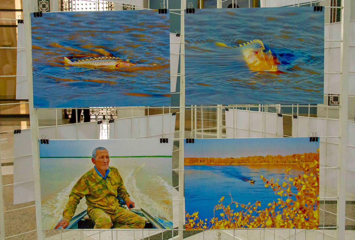 "Day of the Amu Darya River" ecological exhibition