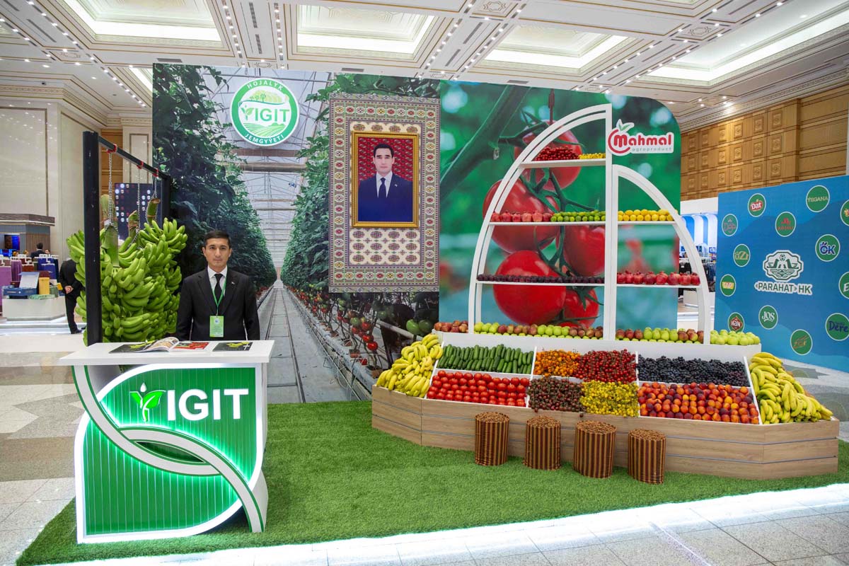 Paýtagtymyzda Türkmenistanyň ykdysady üstünlikleriniň sergisi öz işine başlady