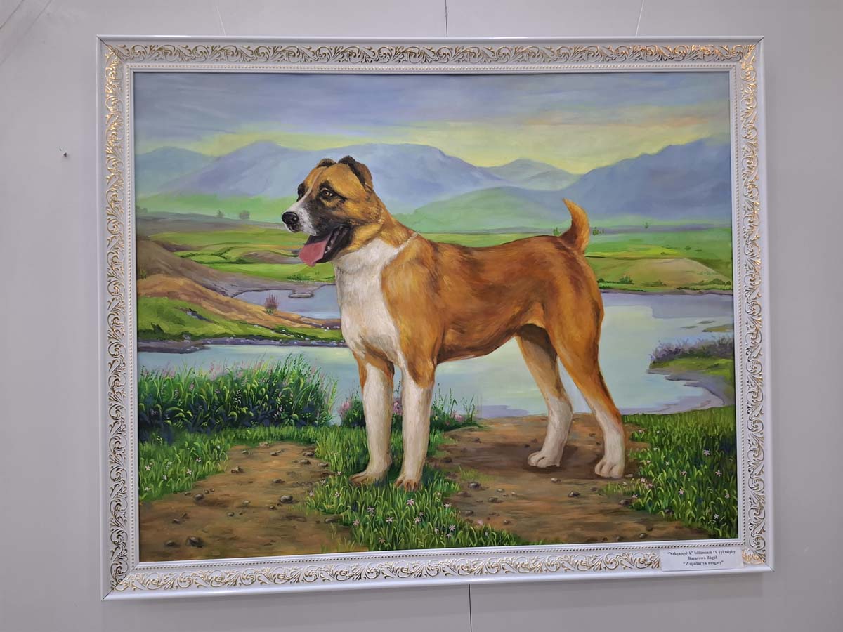 Events in honor of Turkmen Alabay Day held in Lebap velayat