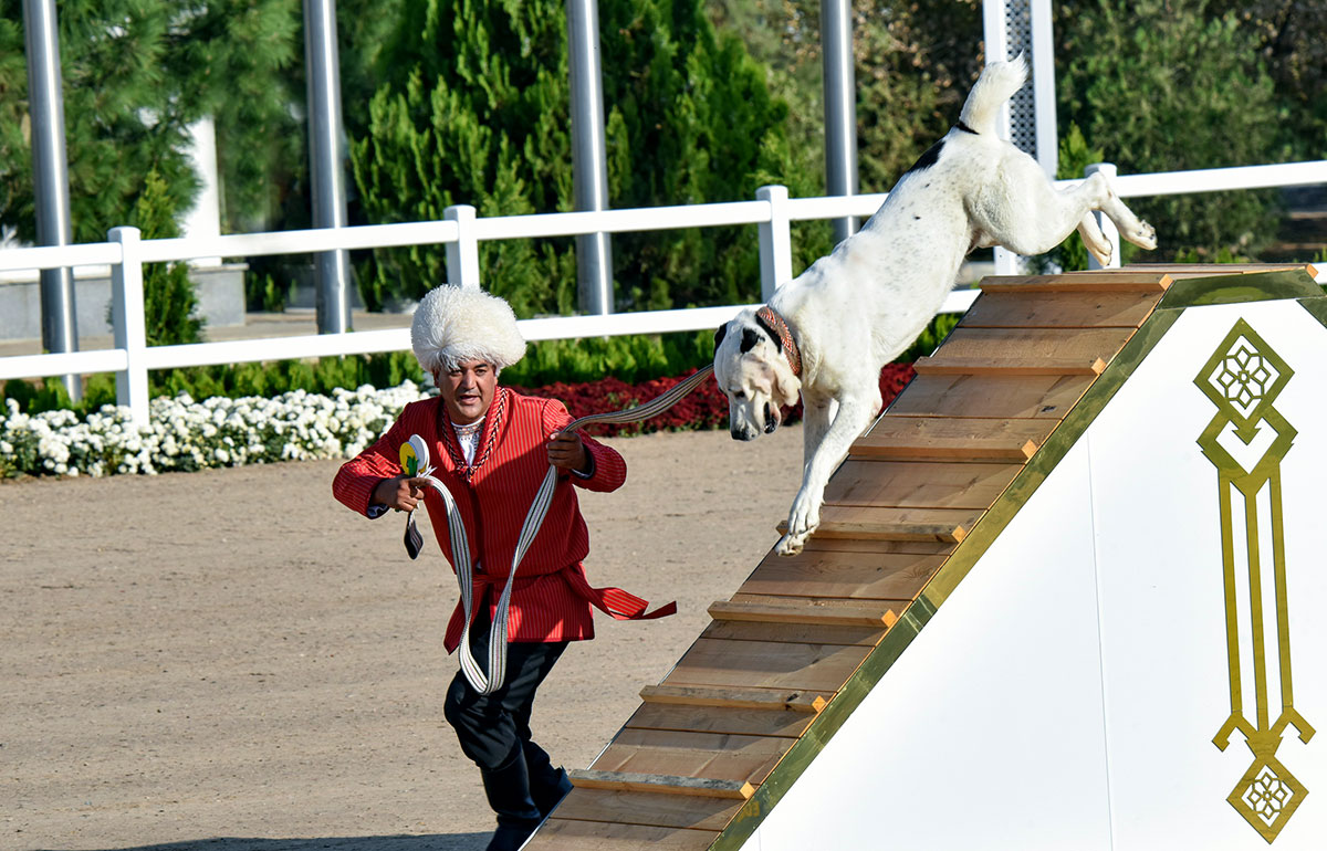 Ýurdumyzda Türkmen alabaýynyň baýramy bellenildi