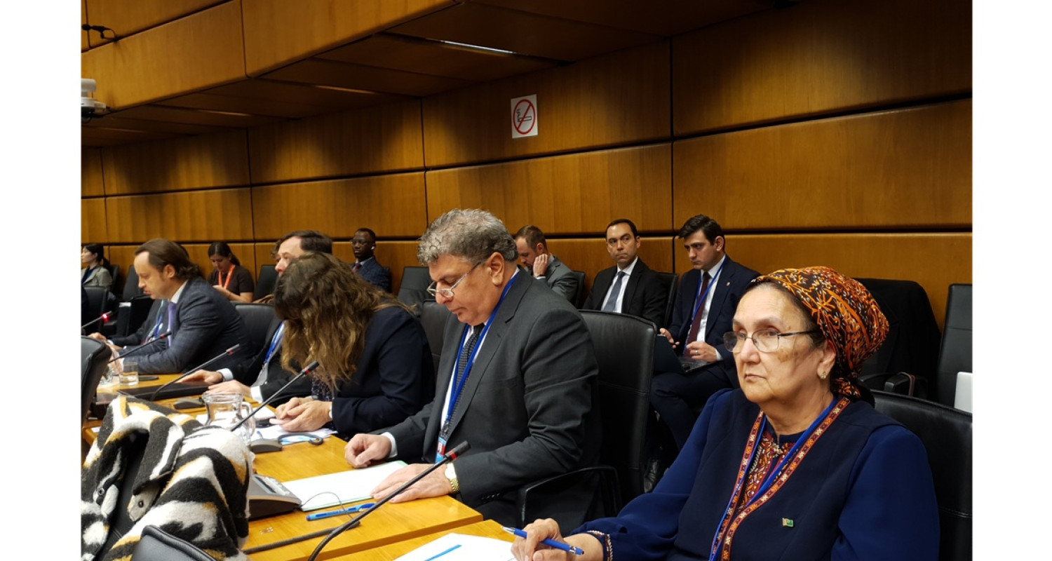 Delegation of Turkmenistan participates in the 65th session of the CTBTO Preparatory Commission