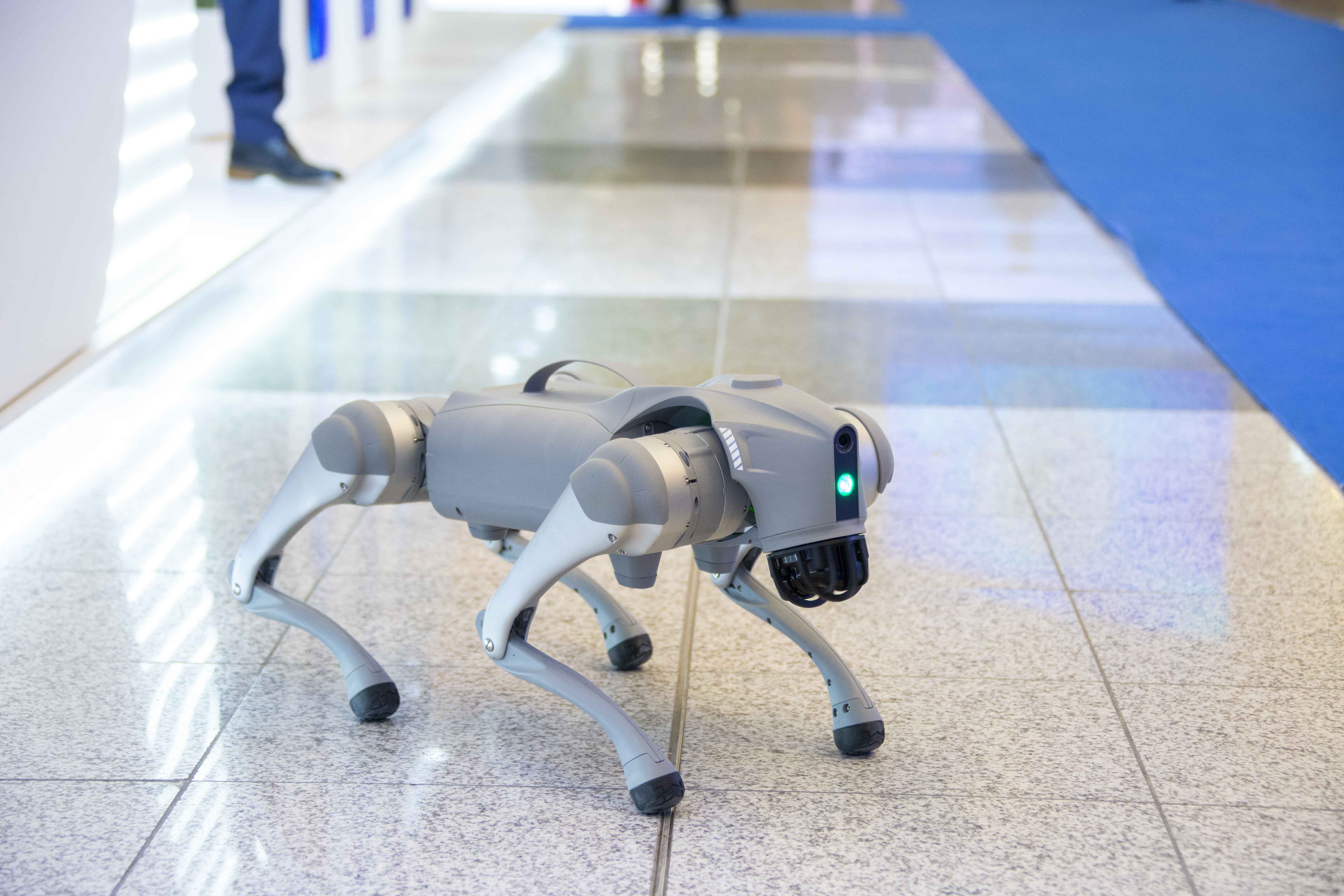 Aşgabatda ulag-kommunikasiýa toplumyna degişli iri halkara forumlar geçirilýär