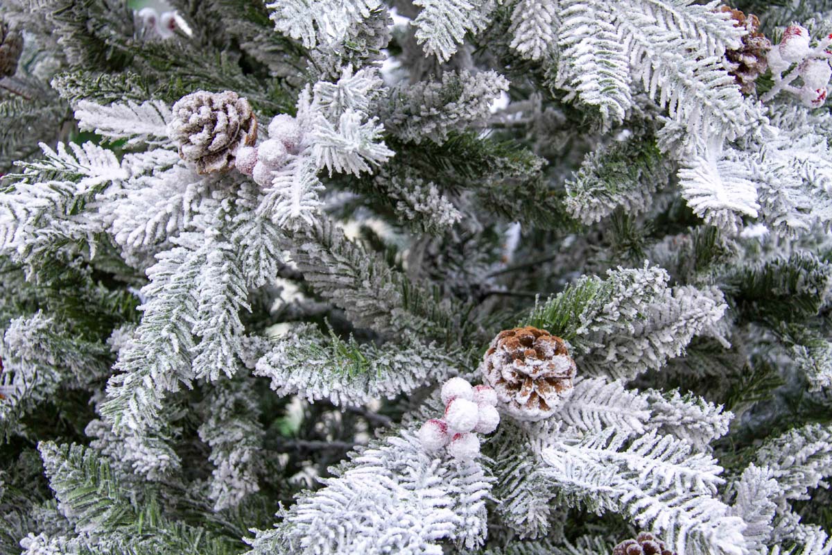 В Туркменистане стартовала праздничная торговля к предстоящим торжествам