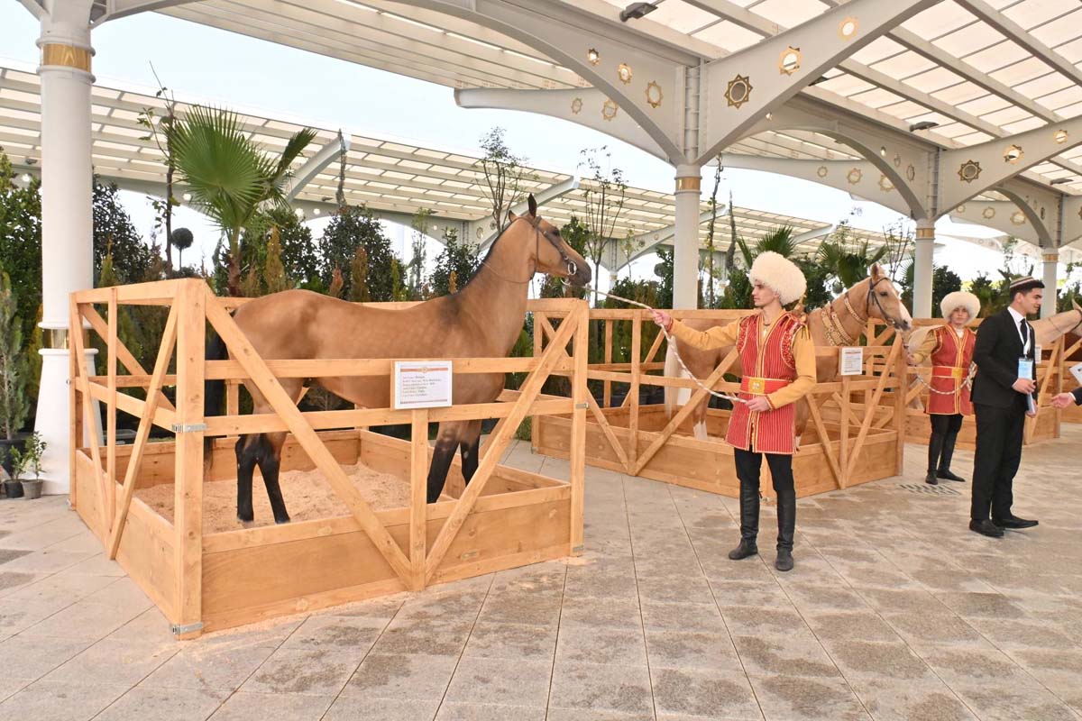 Türkmenistanyň Söwda-senagat edarasynda Bitaraplygynyň 30 ýyllyk mynasybetli giň gerimli sergi açyldy