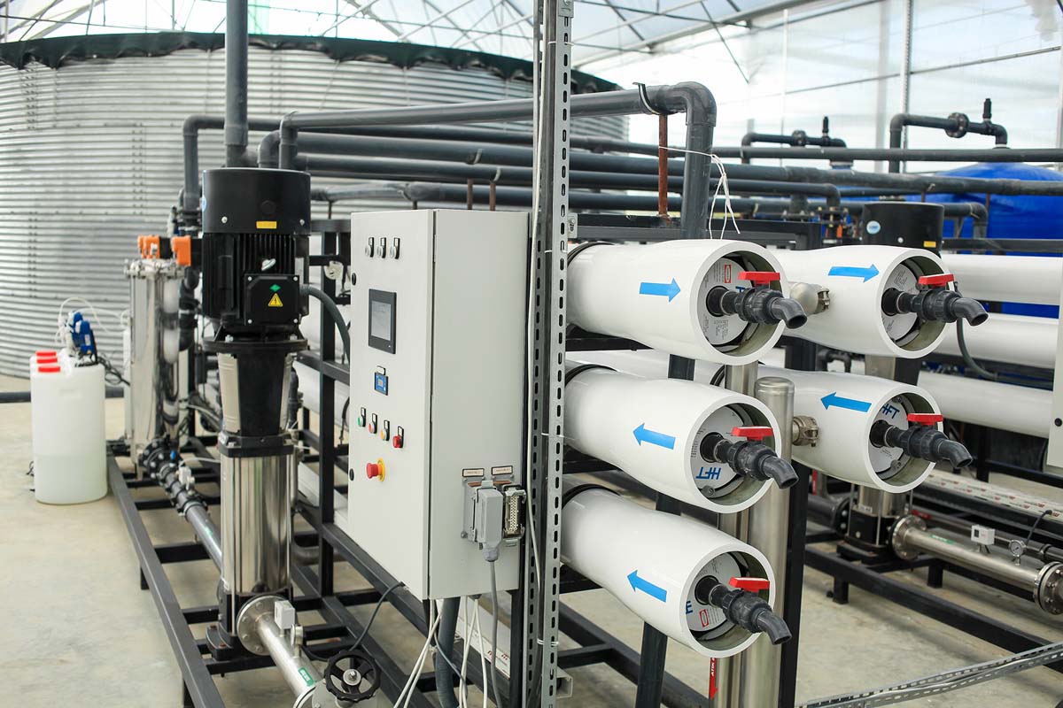 Modern greenhouse commissioned in Balkan velayat