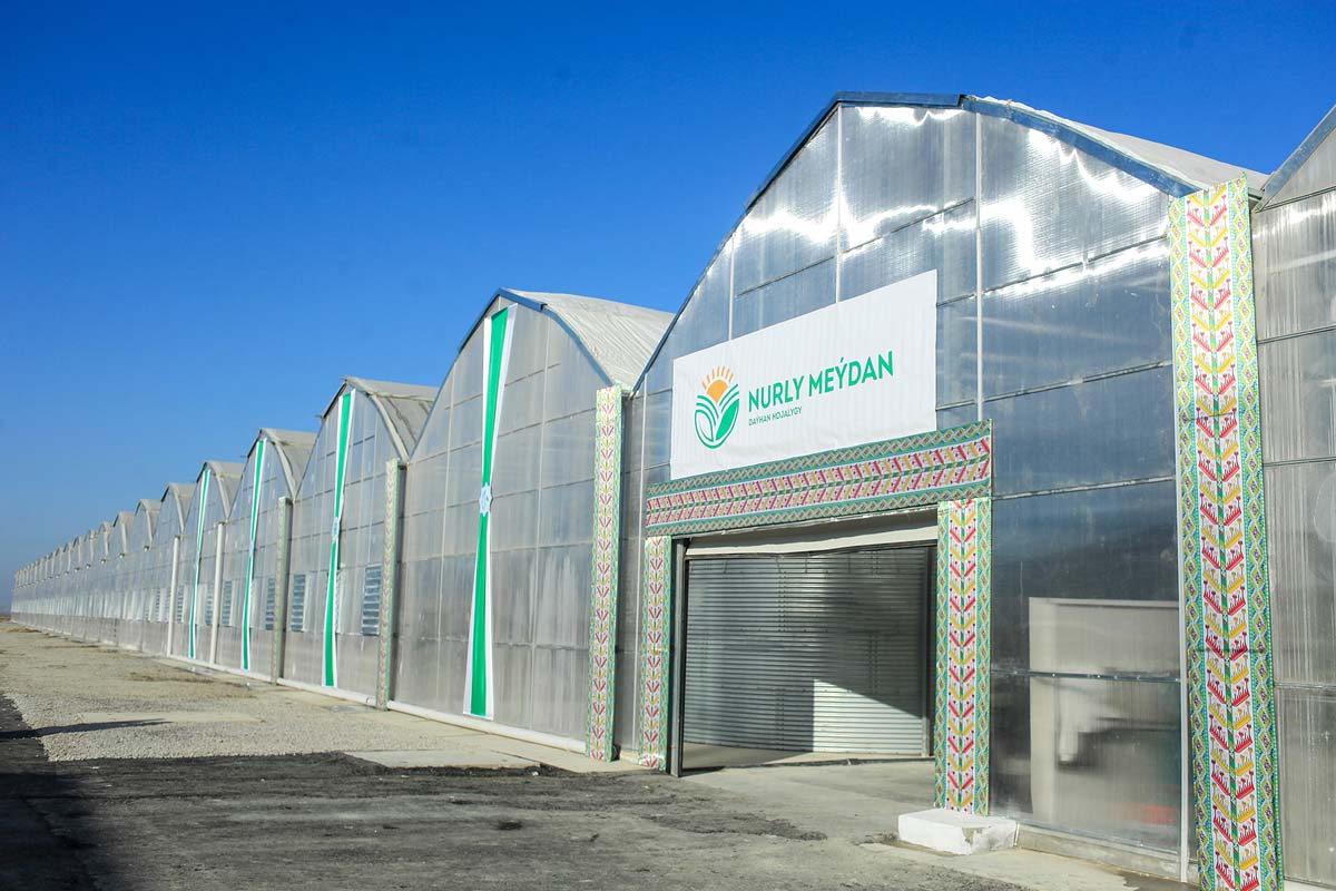 Modern greenhouse commissioned in Balkan velayat