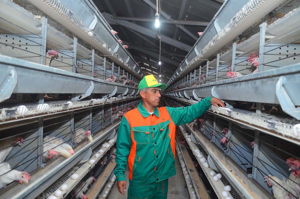 Успешными шагами к новым достижениям