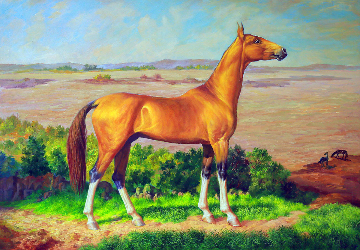 Два независимых взгляда на красоту ахалтекинского скакуна