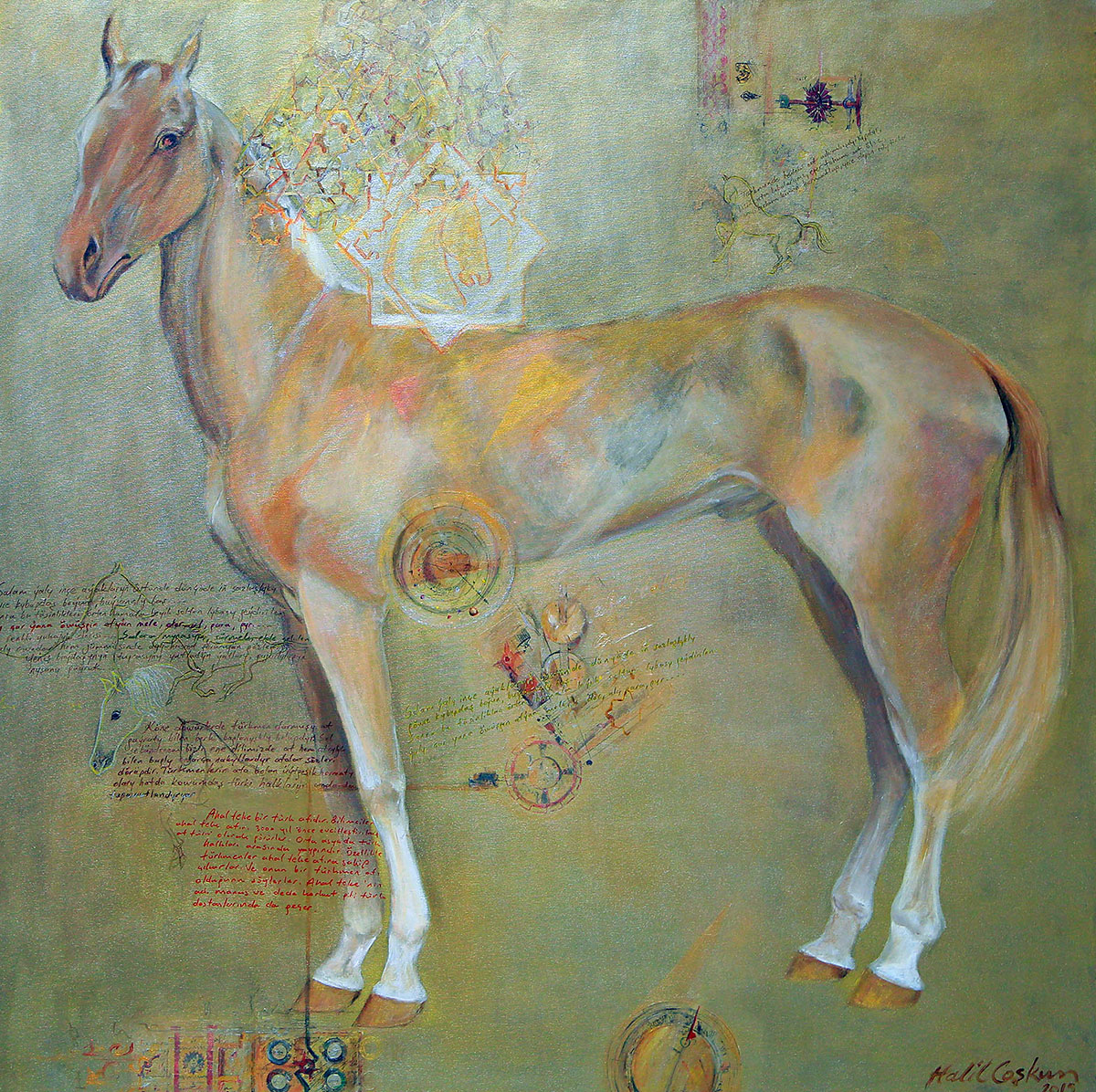 Два независимых взгляда на красоту ахалтекинского скакуна