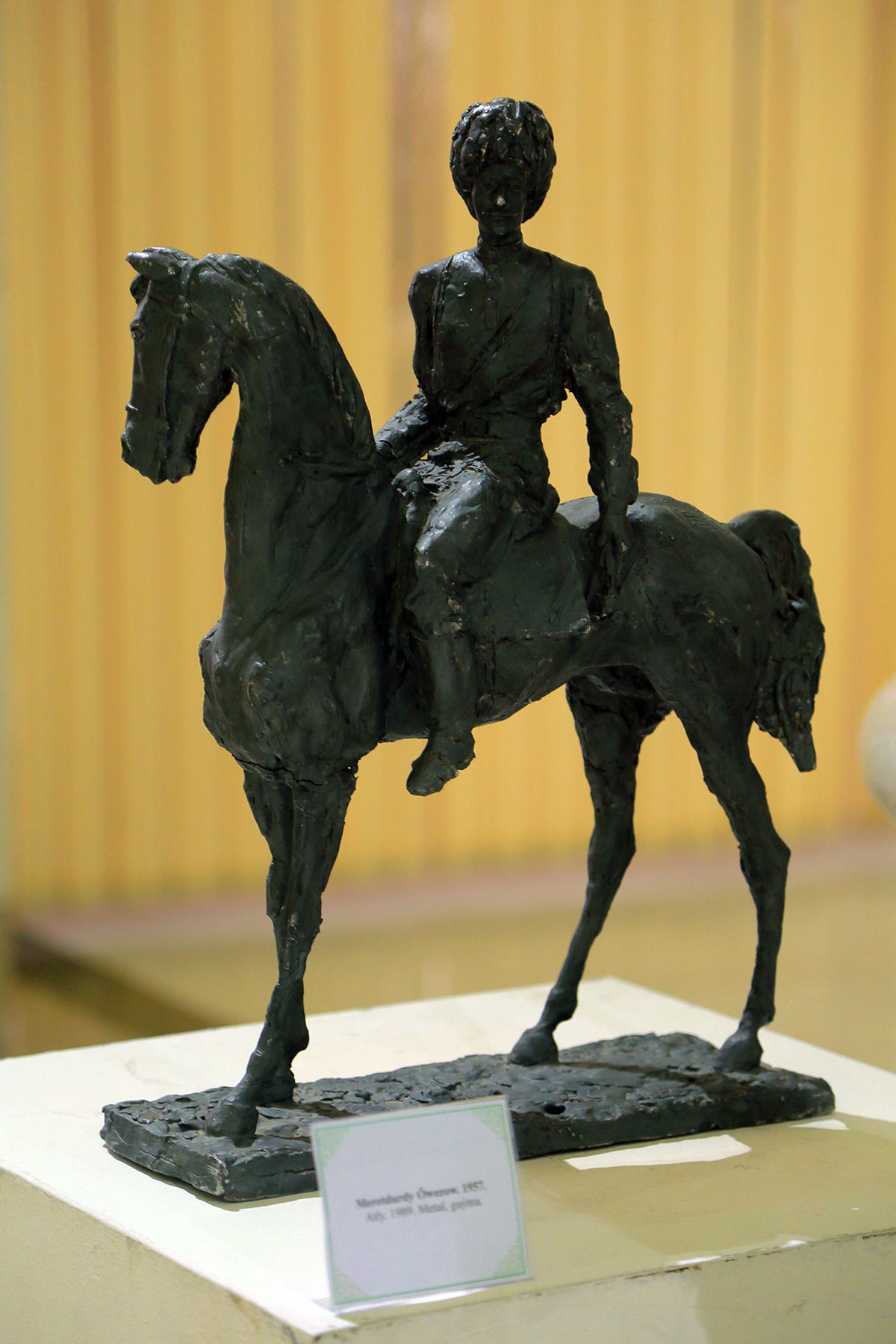 Два независимых взгляда на красоту ахалтекинского скакуна