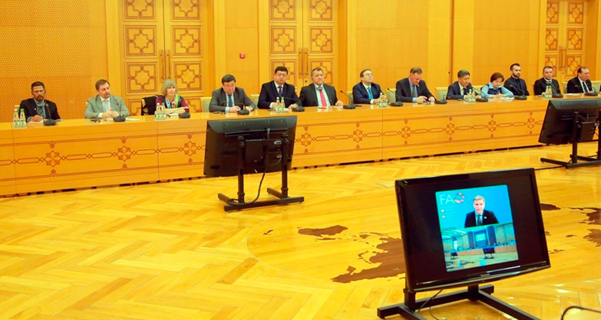 Türkmenistanyň Daşary işler ministrliginde Türkmenistanyň FAO bilen hyzmatdaşlygyna bagyşlanan brifing geçirildi