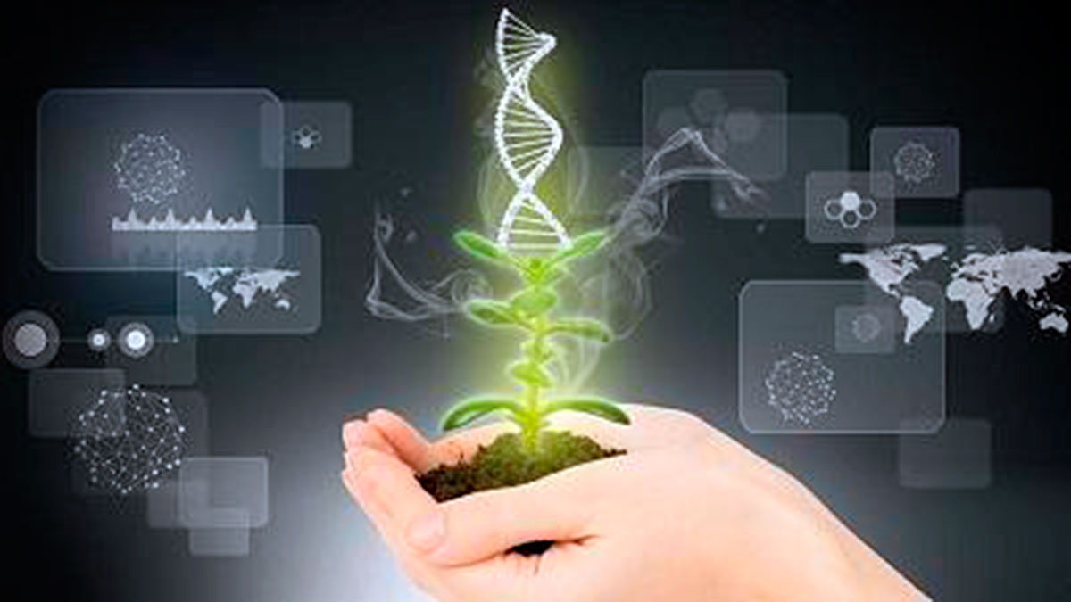 Туркменский сельхозинститут принимает заявки на участие в IV Олимпиаде по генетике