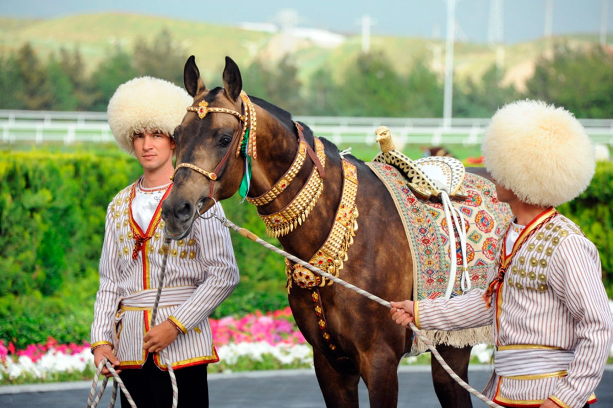 Кинематографисты СНГ примут участие в киноконкурсе Туркменистана «Полёт скакуна: сила и грация»