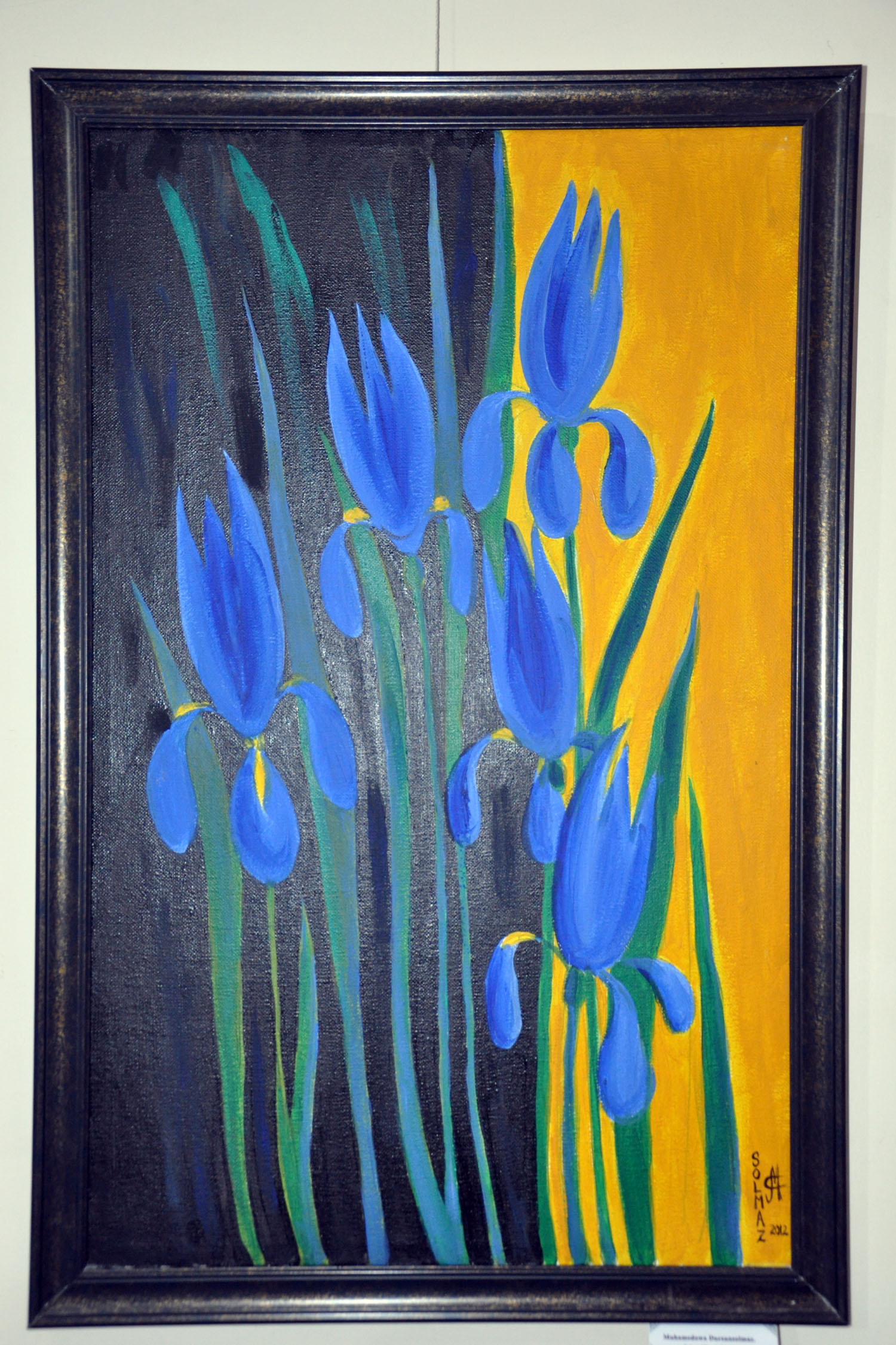 В академии художеств Туркменистана открылась выставка «Sungat äleminiň bahary»